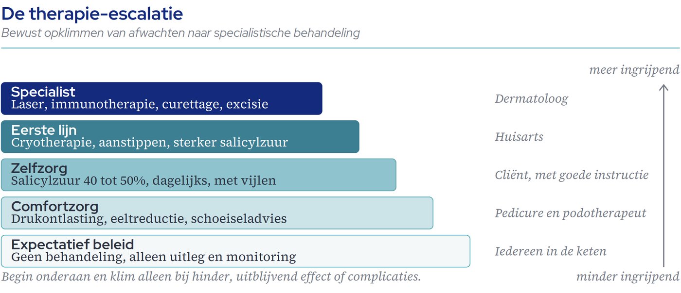 De escalatieladder
